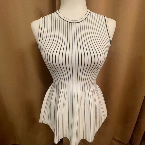 NWT!Theory White and Black Striped Peplum Tank, Top, Knit Size Petite Retail: $2 - Picture 9 of 16